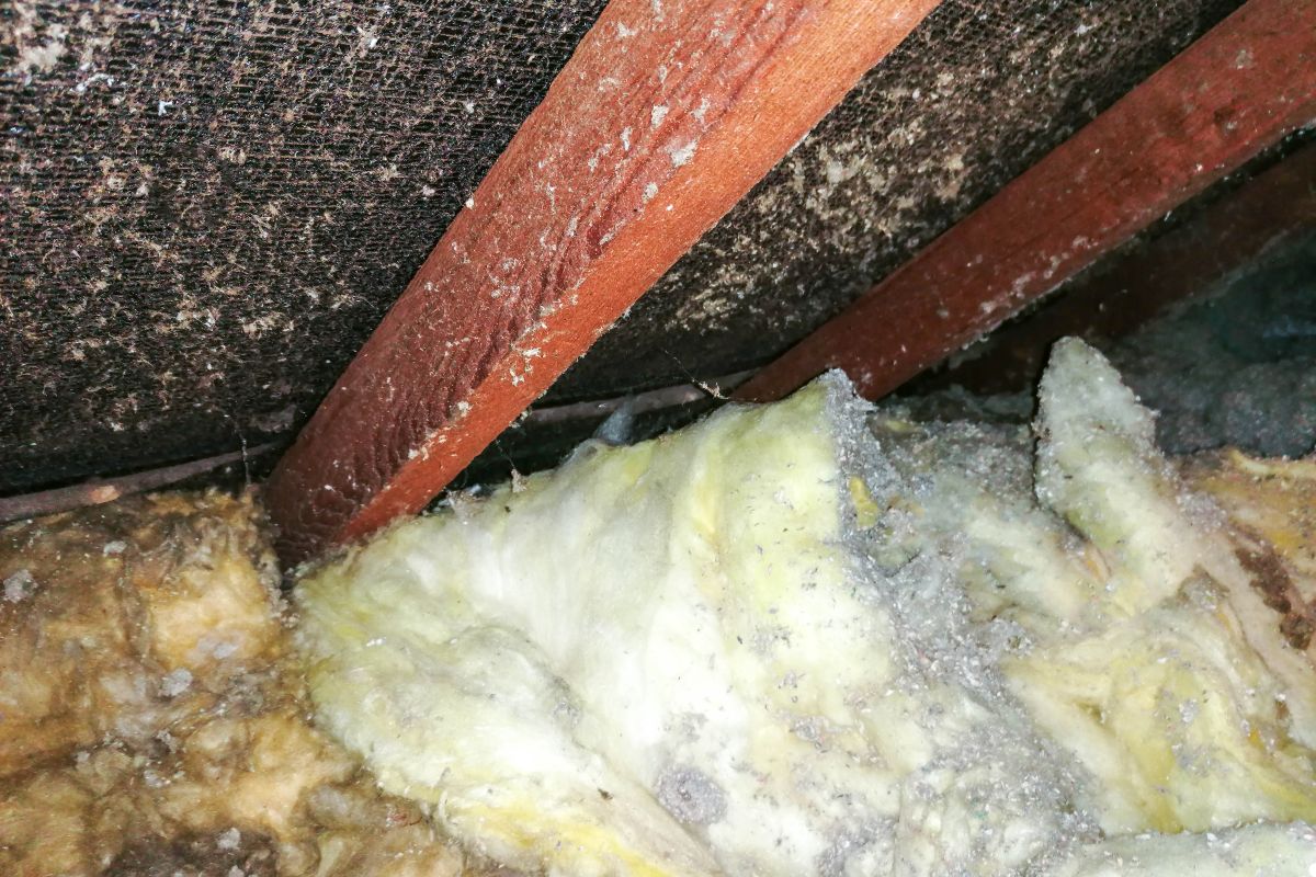 An image depicting a roof structure with visible insulation layers, highlighting its thermal protection features.